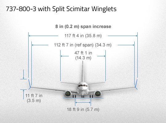 Aviation Partners Boeing 737-800 SWL Dimensions (APB)(LR)