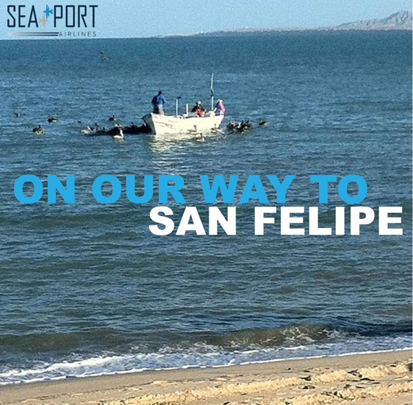 SeaPort to San Felipe, Mexico (LRW) World Airline News
