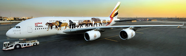 Emirates A380-800 A6-EEI (15-United for Wildlife)(Grd)(Emirates)(LR)