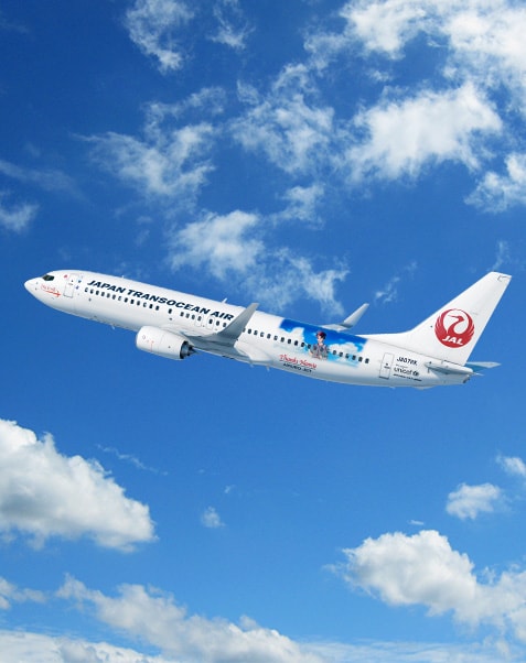 安室ジェット Amuro Jet Aircraft Model 安室ジェット Amuro Jet